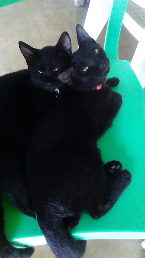 Image uploaded by EyeShift