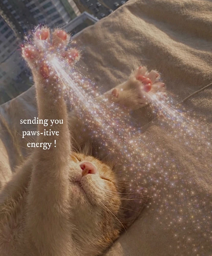 GIF uploaded by Lena