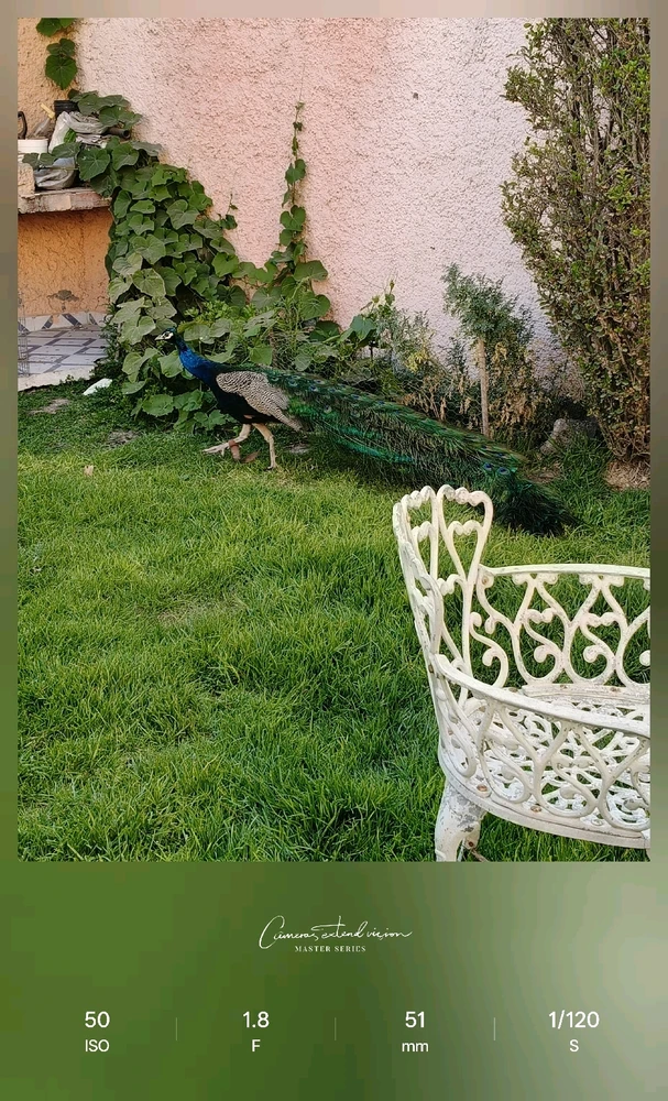 Imagen subida por Irazaba