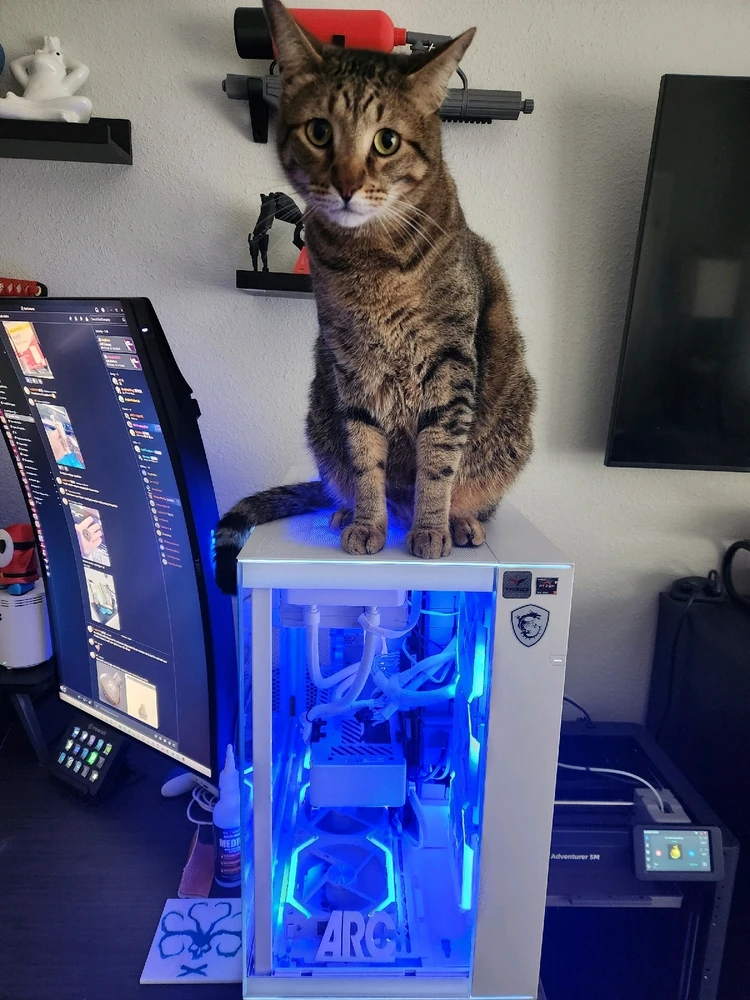 GIF uploaded by Alex