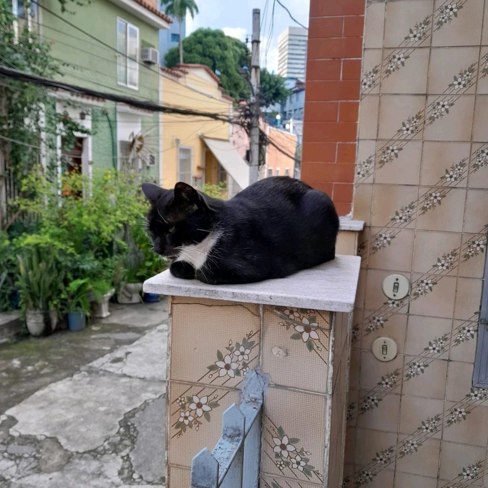 GIF enviado por Gabriel Tanure