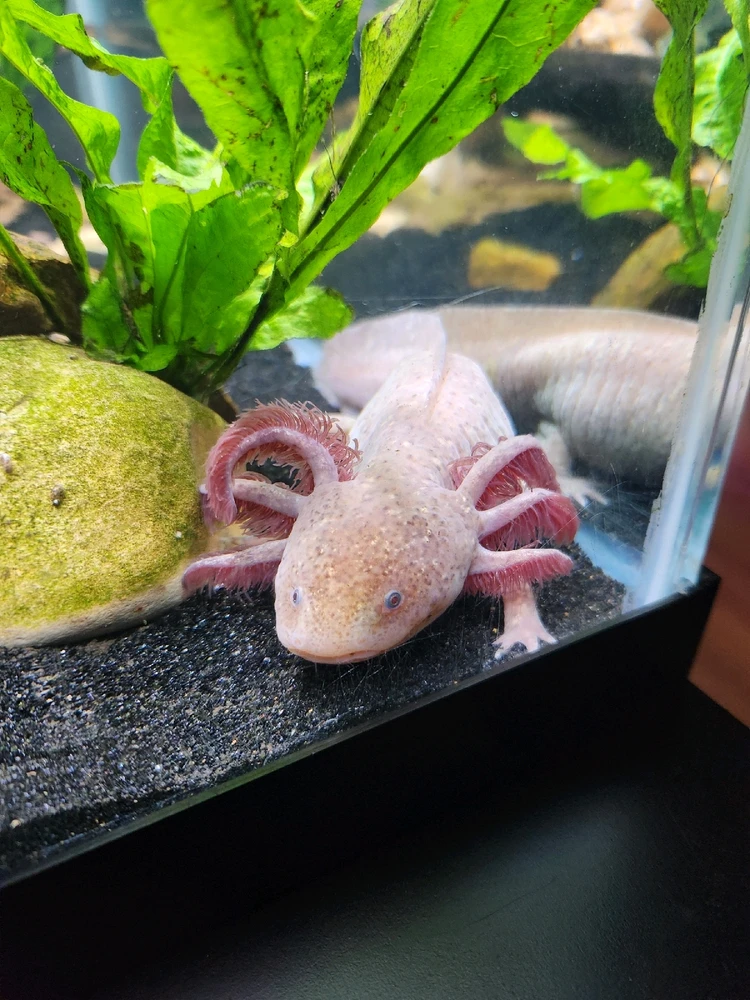 GIF uploaded by Alex