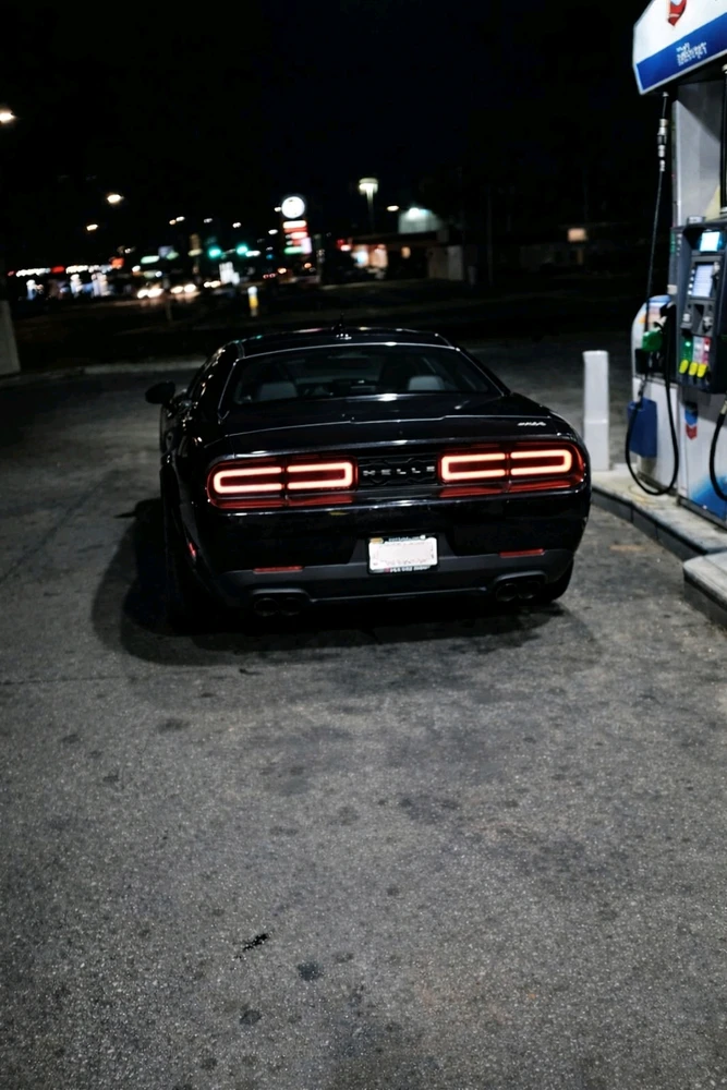 GIF dodany przez JustNemoFish