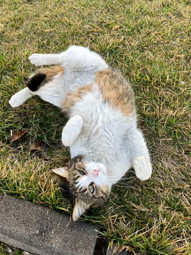 Image uploaded by Akash