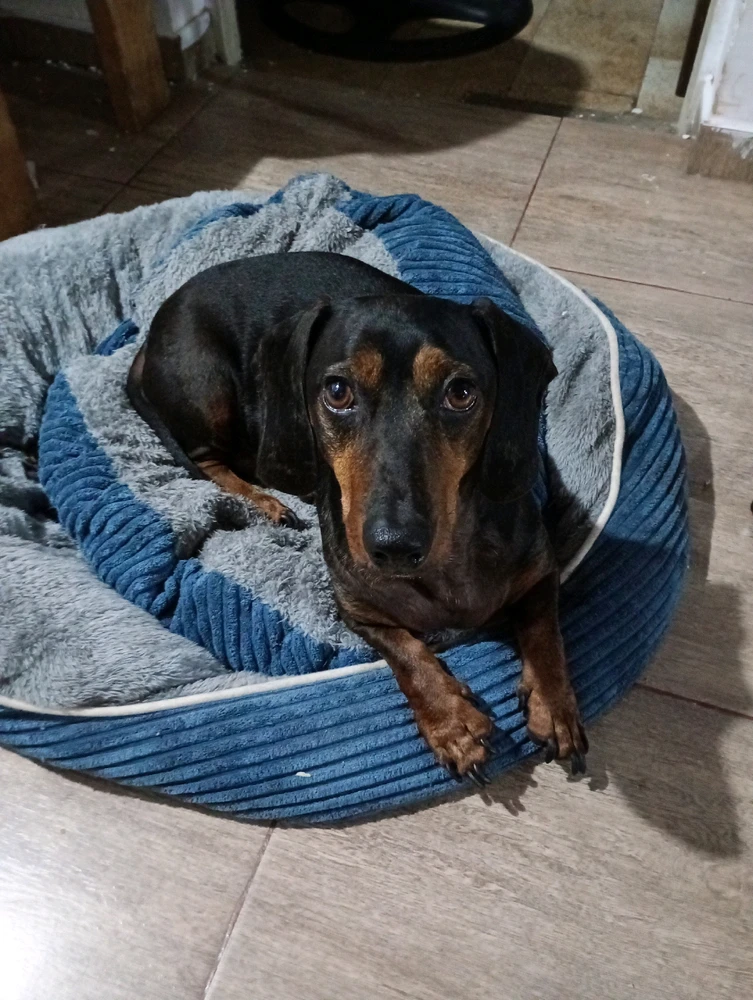 GIF subido por Andres