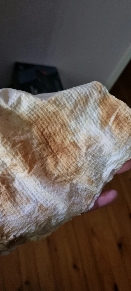 GIF uploaded by J-Klamp😜🐒