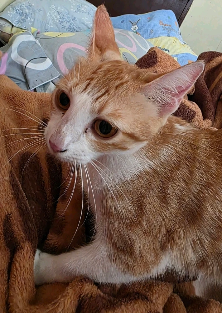 GIF uploaded by Rowan