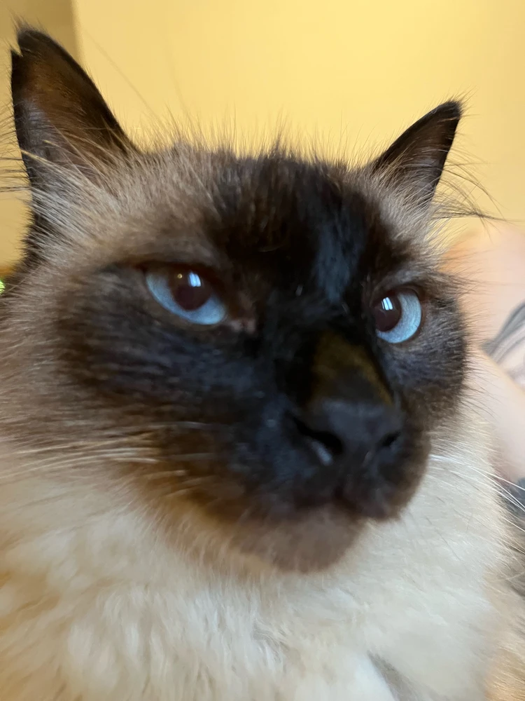 Imagem enviada por Snow