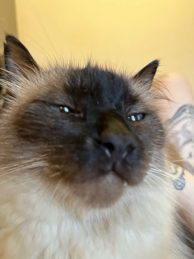 Imagem enviada por Snow