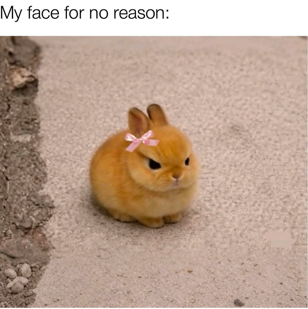 GIF uploaded by Yelitza