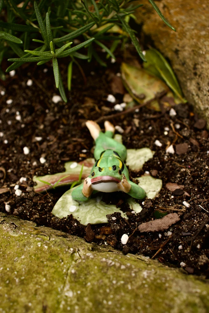 GIF uploaded by Adrián