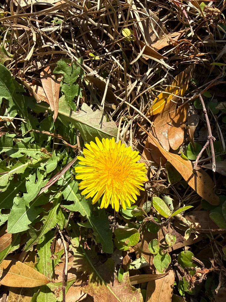 GIF uploaded by Caralyn