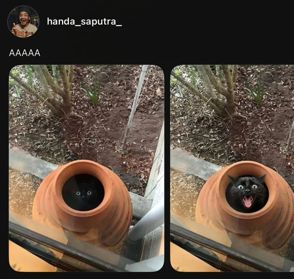 Image uploaded by Daniel