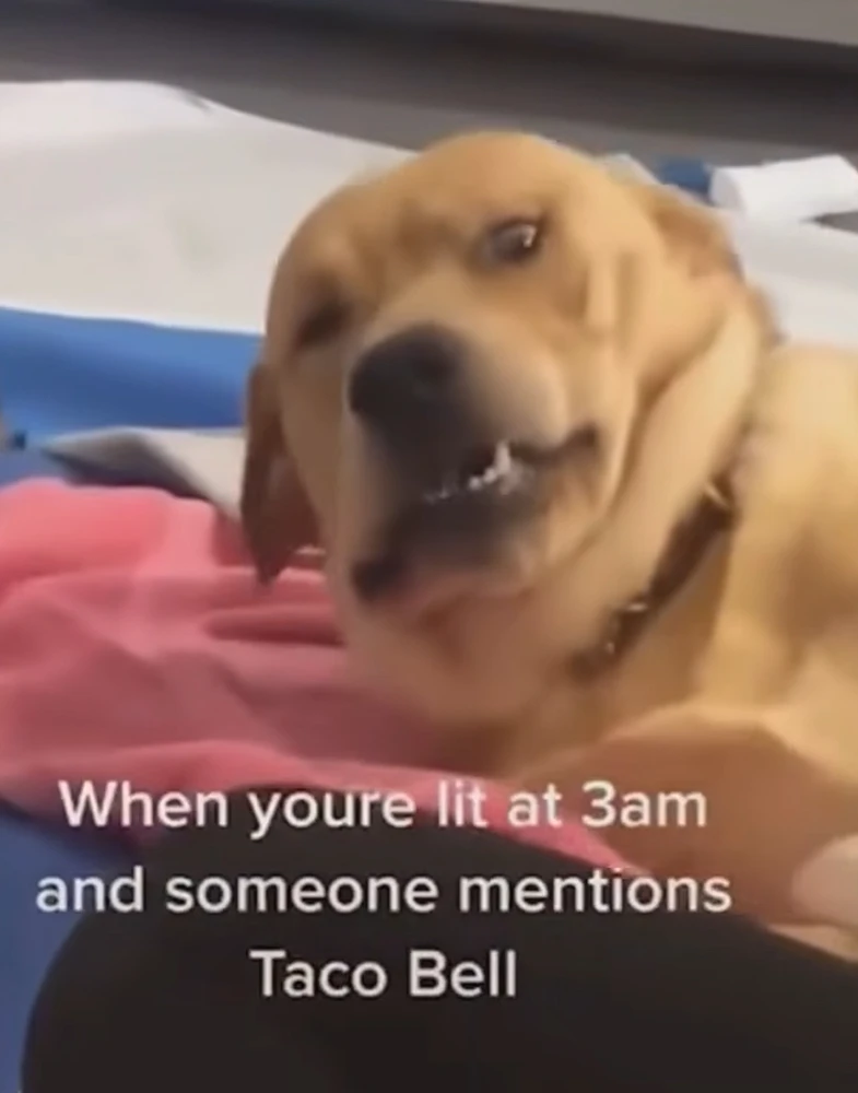 Image uploaded by Daniel