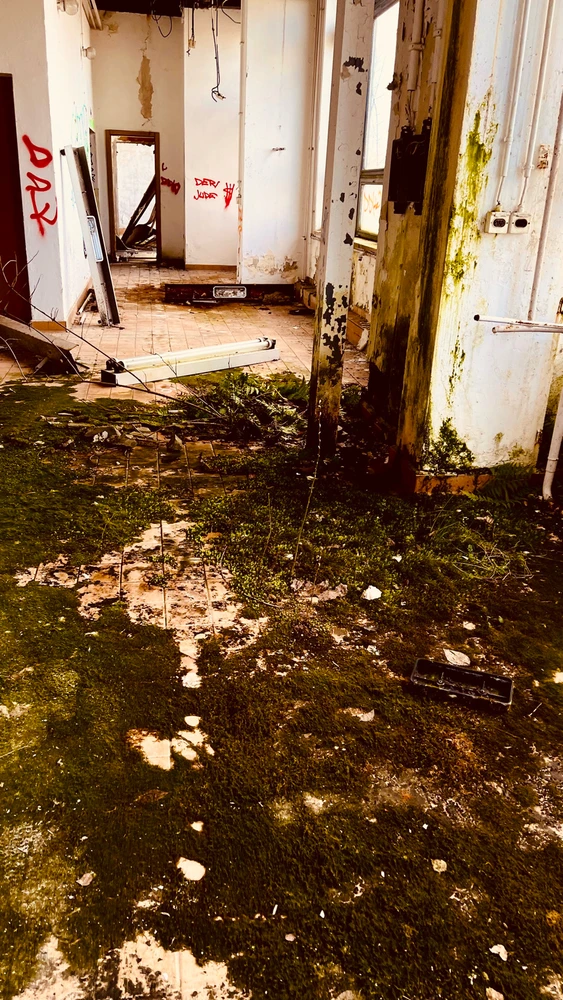 Bild hochgeladen von Nicolas