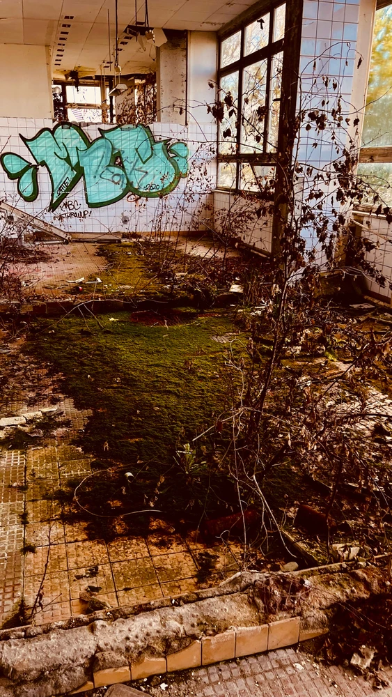 Bild hochgeladen von Nicolas