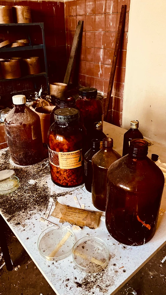 Bild hochgeladen von Nicolas