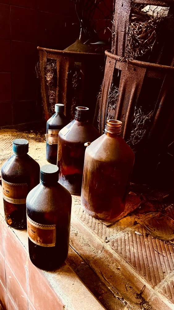 Bild hochgeladen von Nicolas