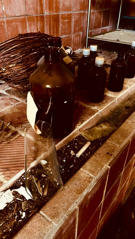 Bild hochgeladen von Nicolas