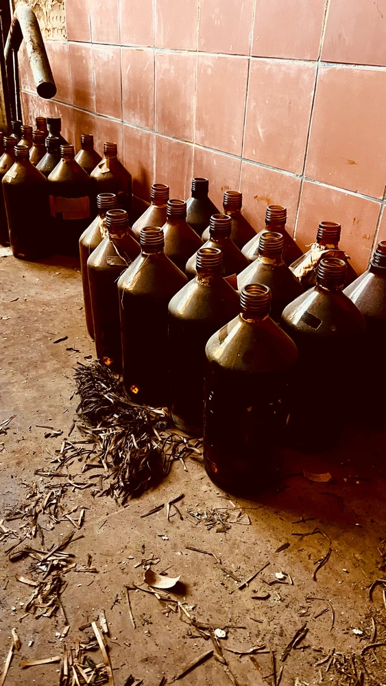 Bild hochgeladen von Nicolas