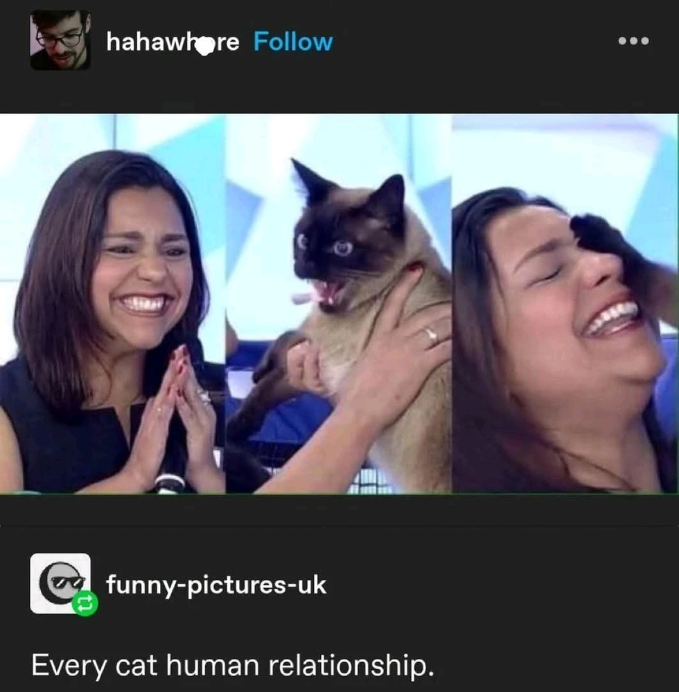 GIF uploaded by Erica