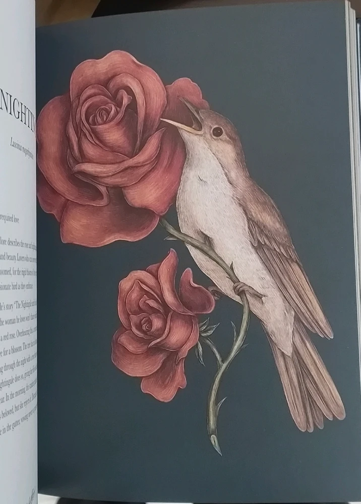 Image uploaded by Himanshu