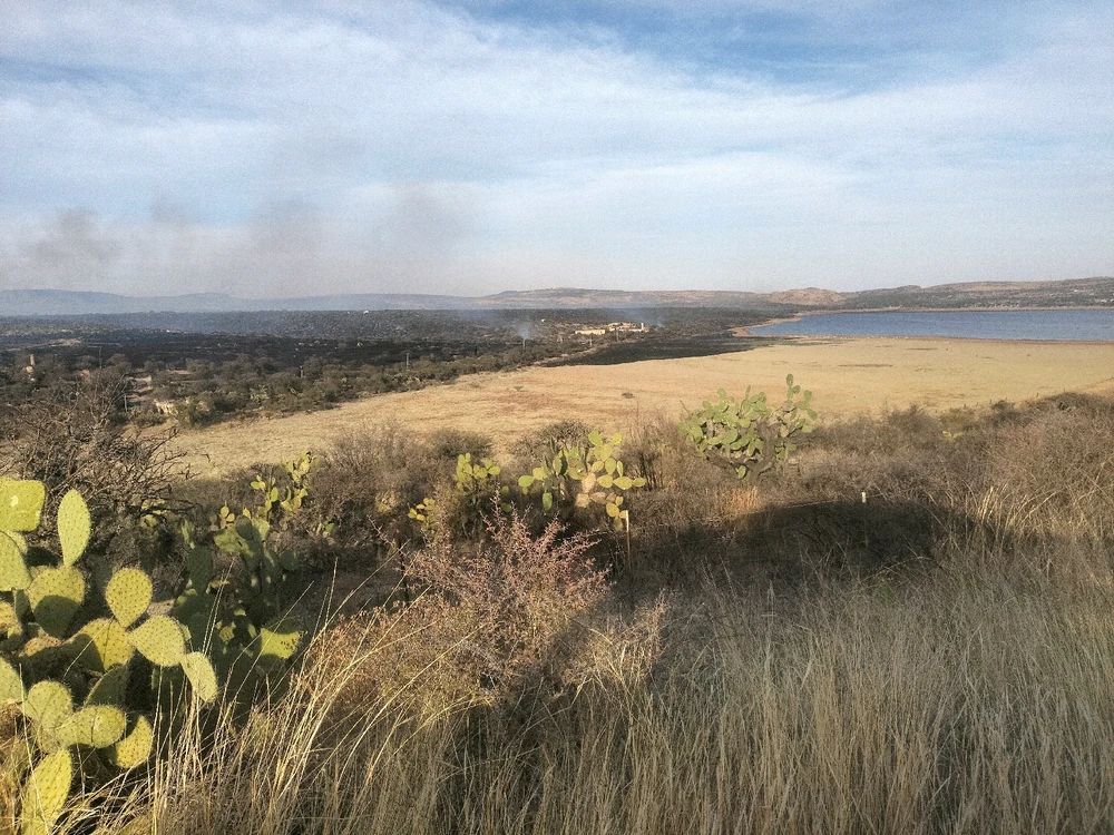 Imagen subida por Eduardo Espinosa Gutiérrez