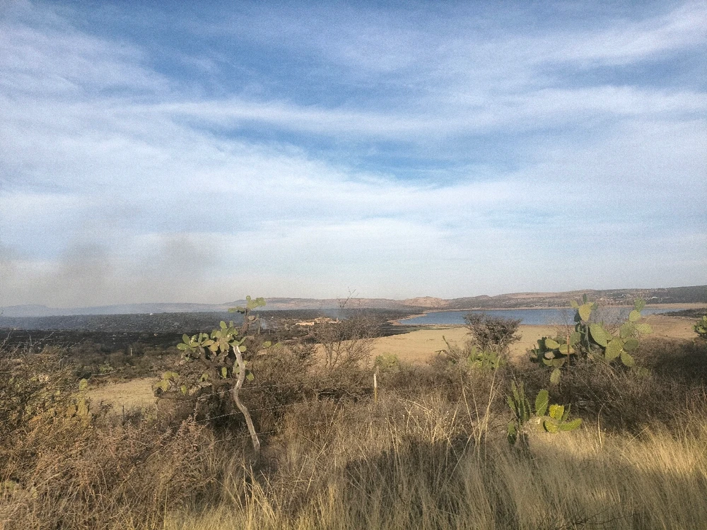 Imagen subida por Eduardo Espinosa Gutiérrez