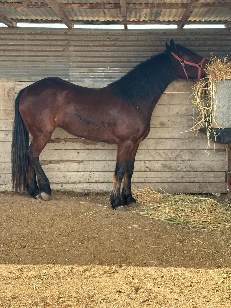 GIF uploaded by Yuvani