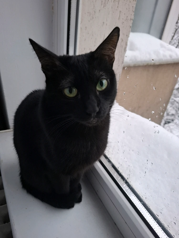 GIF încărcat de Sorina