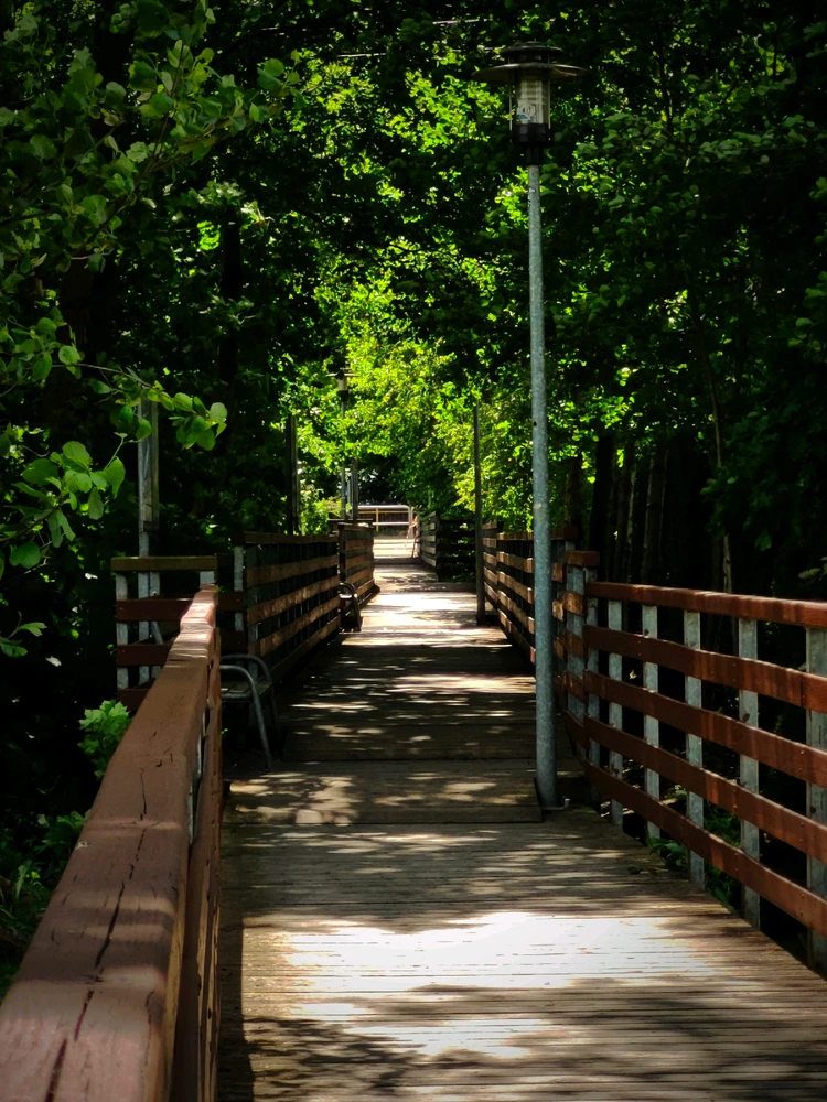 GIF dodany przez Mati