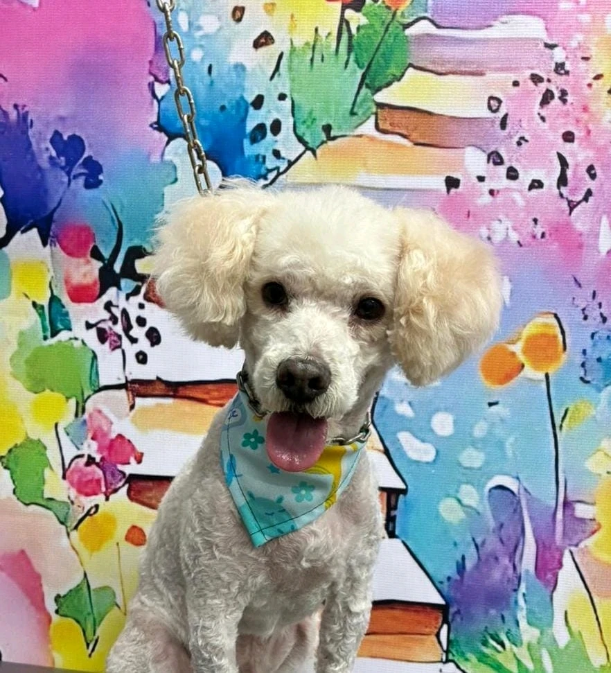 GIF subido por Adriana