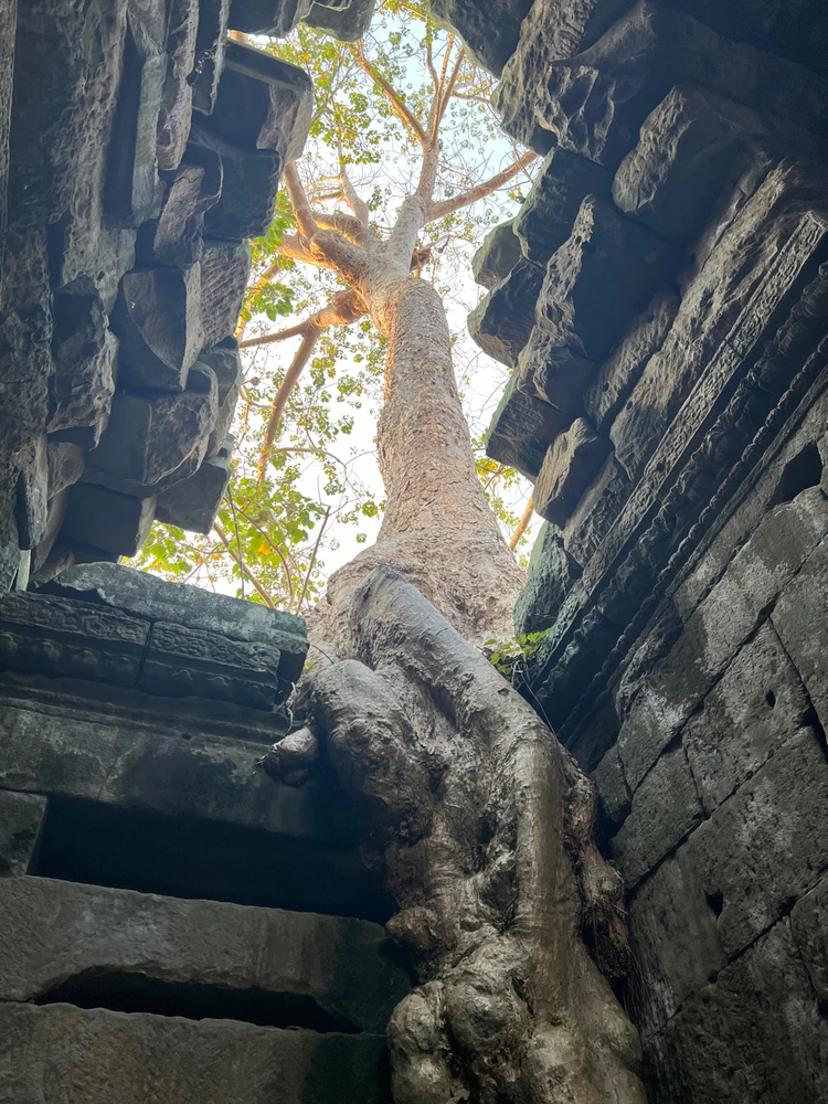 Image uploaded by Sreyke