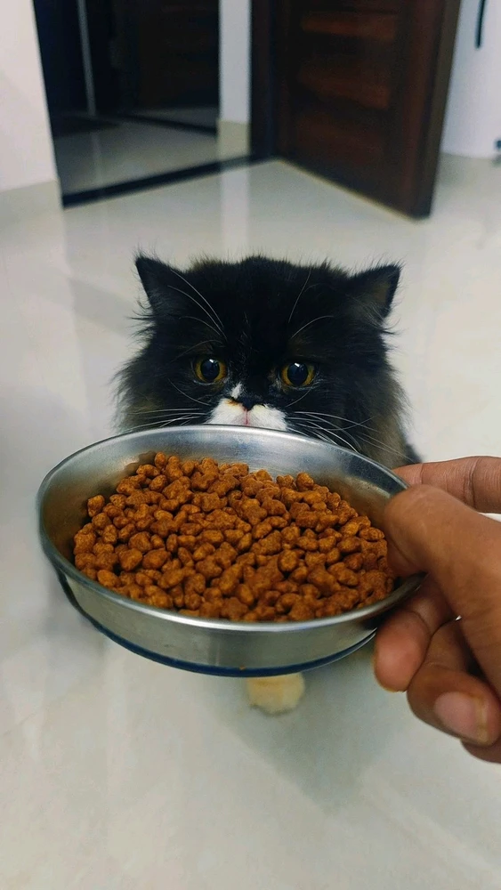 GIF uploaded by Yash pradhan