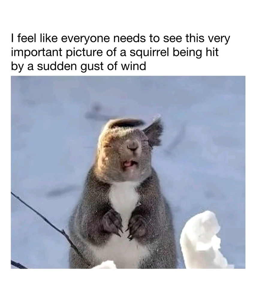 GIF hochgeladen von 𝕁𝕖𝕤𝕤𝕚𝕔𝕒