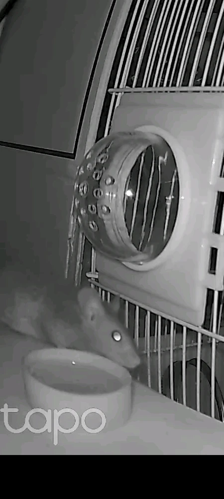 Image uploaded by Kai