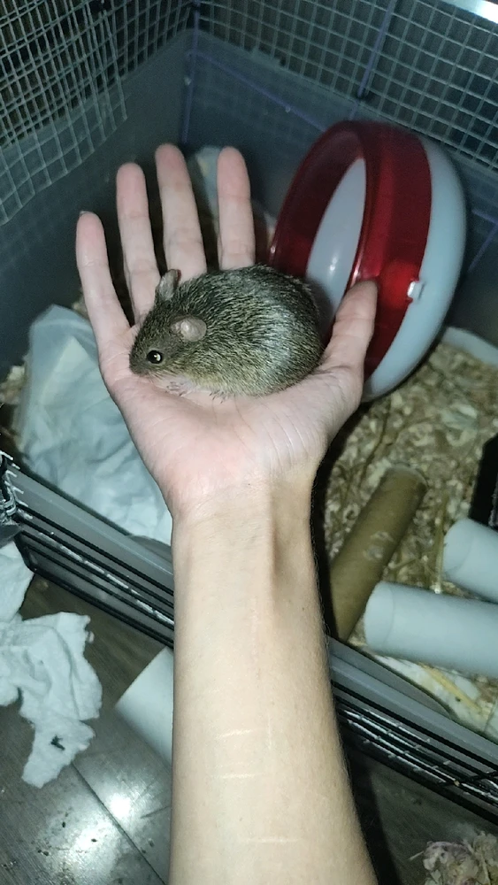 Image uploaded by Kai