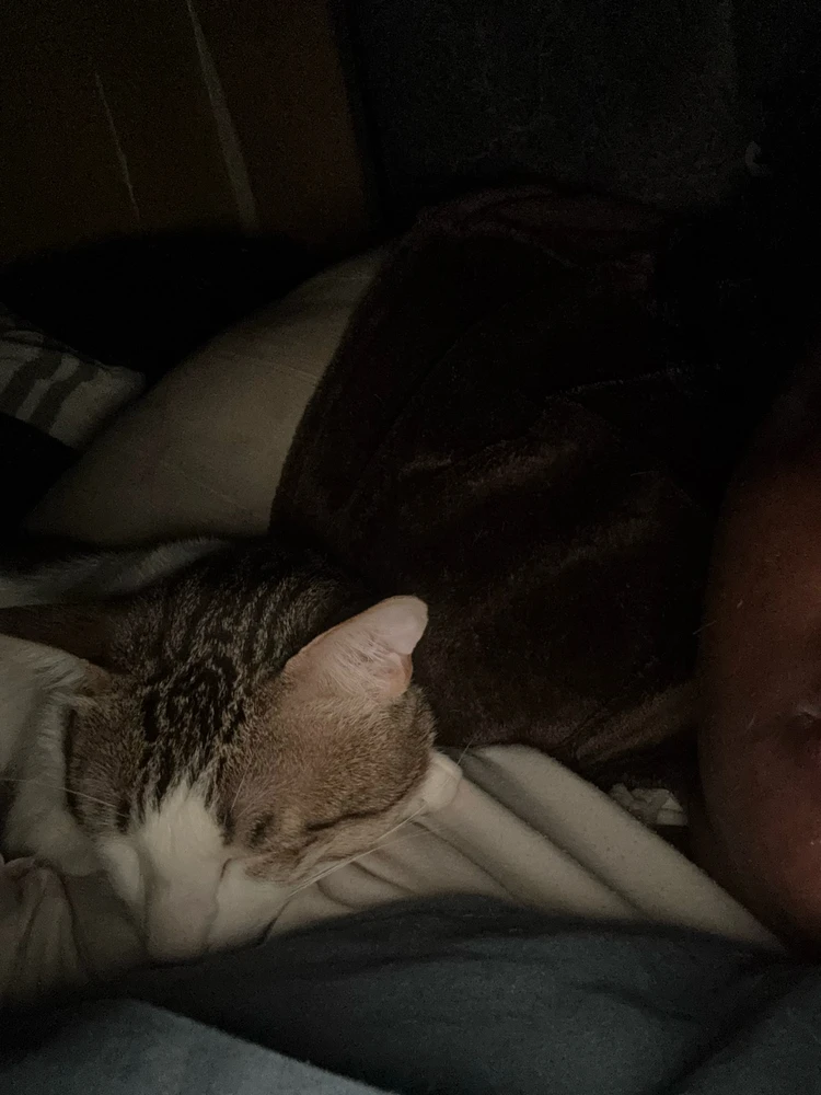 GIF uploaded by Tracy