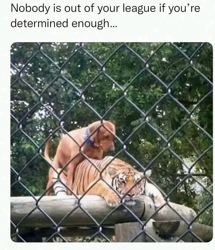 GIF uploaded by Mauro Loforte