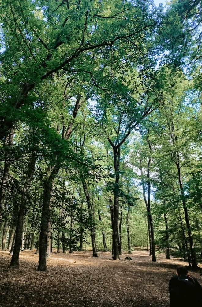 GIF uploaded by Luca