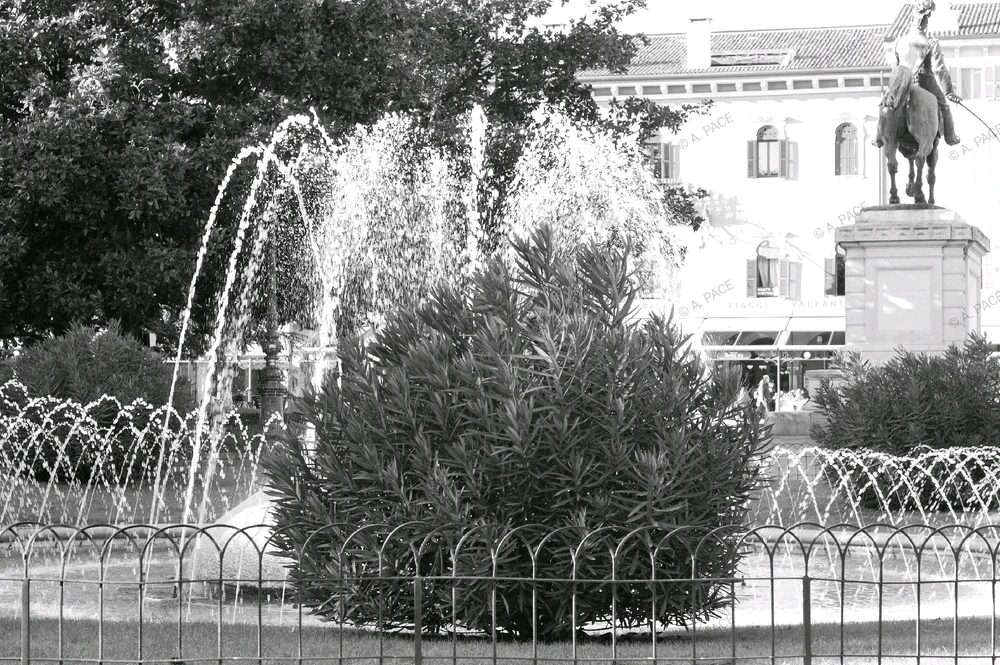 Immagine caricata da Alessandro | alpacigno