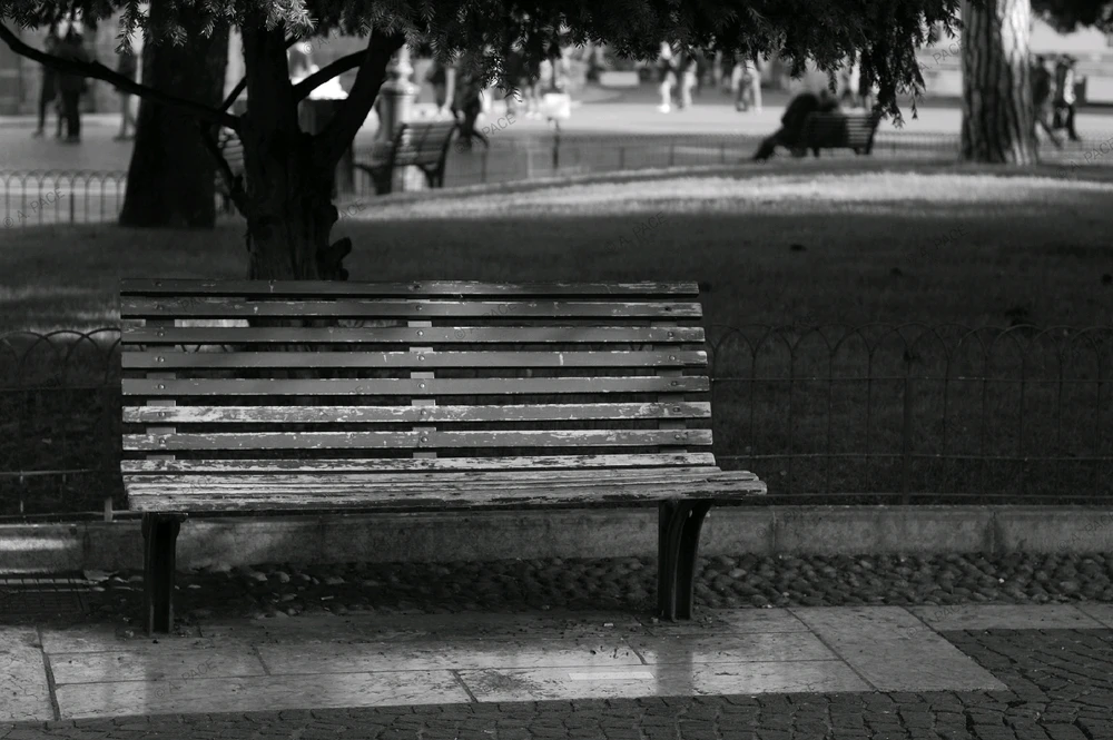 Immagine caricata da Alessandro | alpacigno