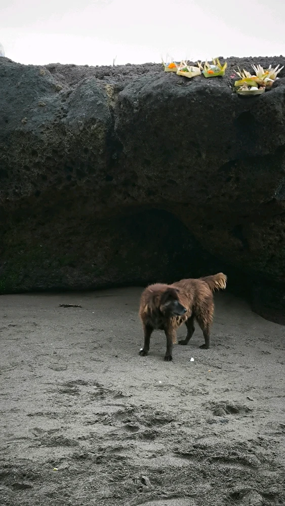 Gambar diunggah oleh Ruby