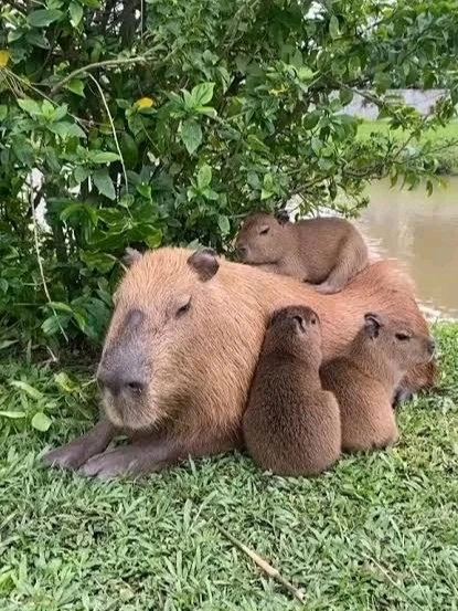 Image uploaded by 𝓢𝓮𝓻𝓮𝓷 • 𝓢𝓮𝓻𝓮𝓷𝓭𝓲𝓹𝓲𝓽𝔂