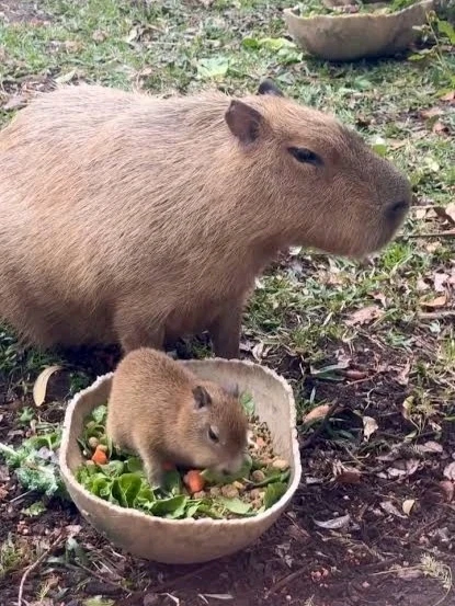 Image uploaded by 𝓢𝓮𝓻𝓮𝓷 • 𝓢𝓮𝓻𝓮𝓷𝓭𝓲𝓹𝓲𝓽𝔂