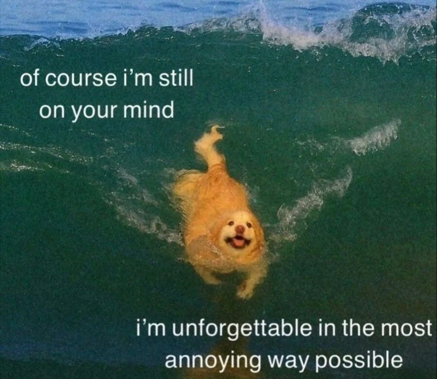 GIF uploaded by Norman