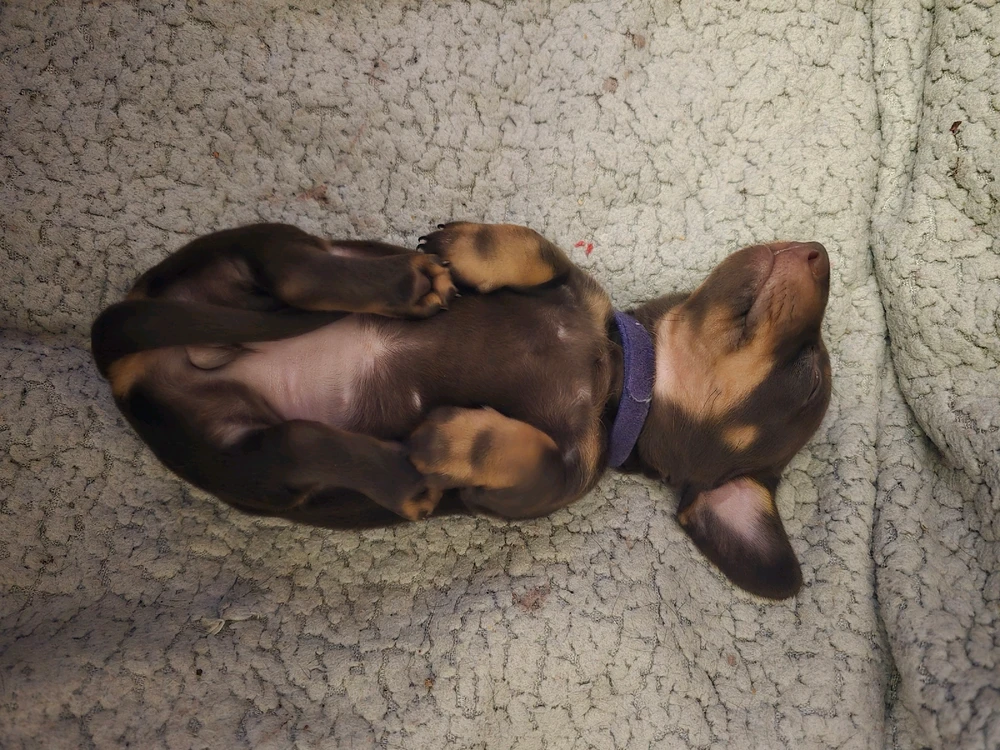 Image uploaded by Terry