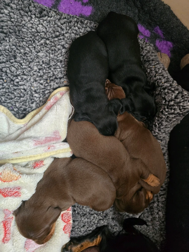 Image uploaded by Terry