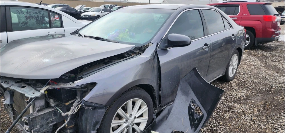 Image uploaded by Heather