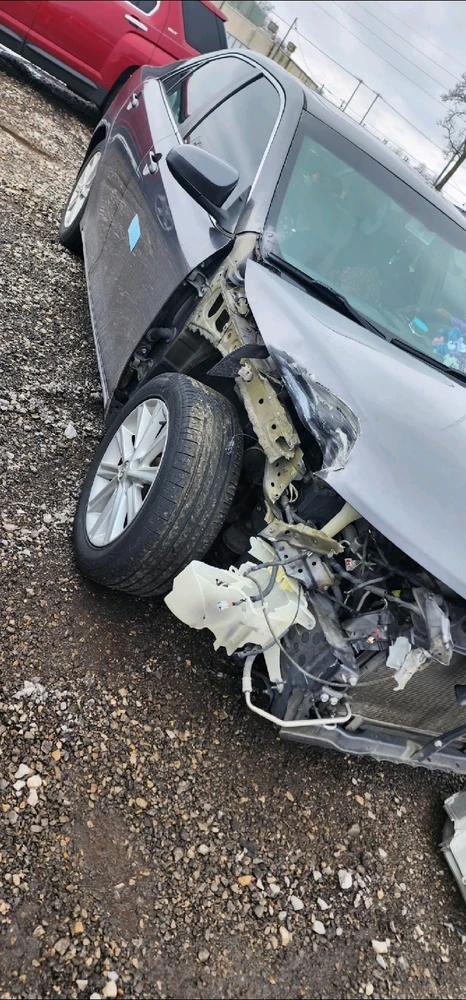 Image uploaded by Heather